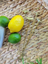 Load image into Gallery viewer, Gold Bumble Bee Drink Stir Sticks (4)