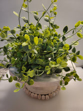 Load image into Gallery viewer, Variegated Green Half Poof