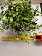 Load image into Gallery viewer, Variegated Green Half Poof