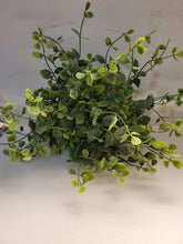 Load image into Gallery viewer, Variegated Green Half Poof