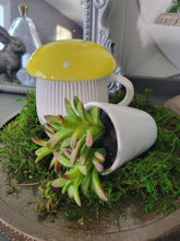 Load image into Gallery viewer, Cap&#39;n Mushroom Mug (yellow)
