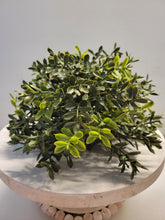 Load image into Gallery viewer, Boxwood Half Poof Decor
